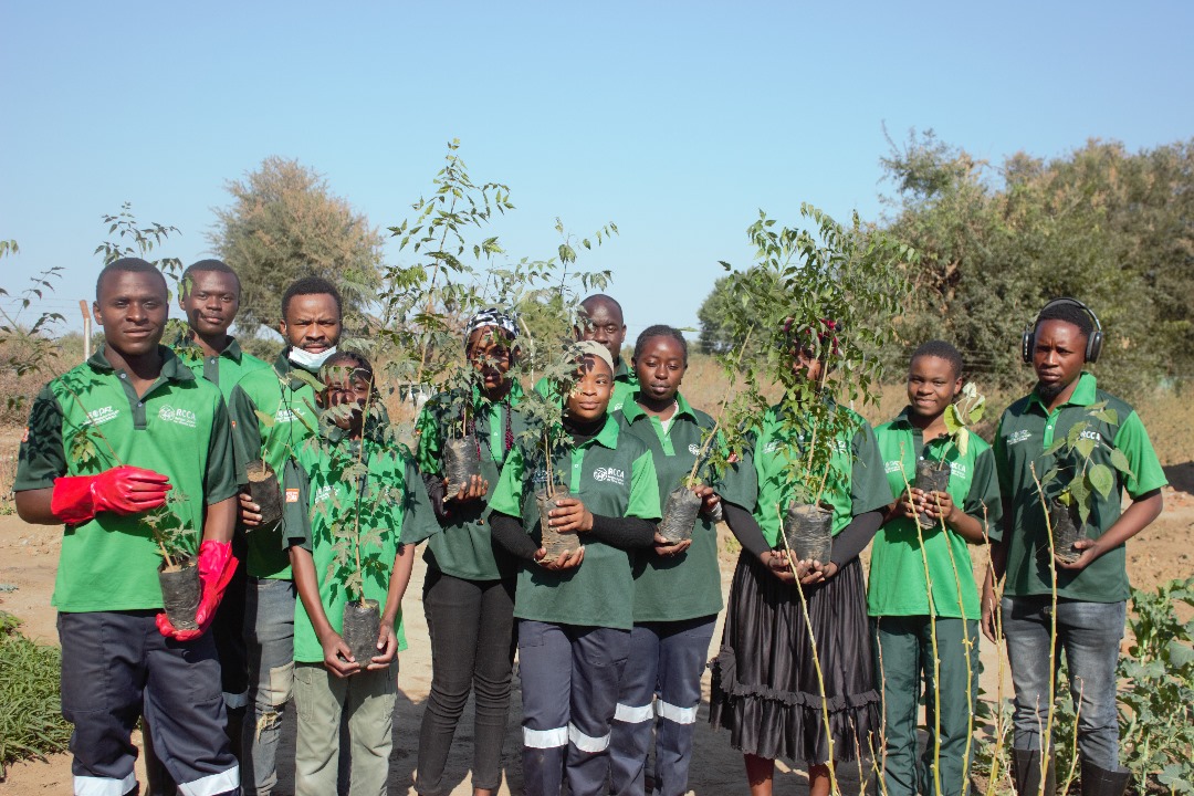 Home Picture planting trees