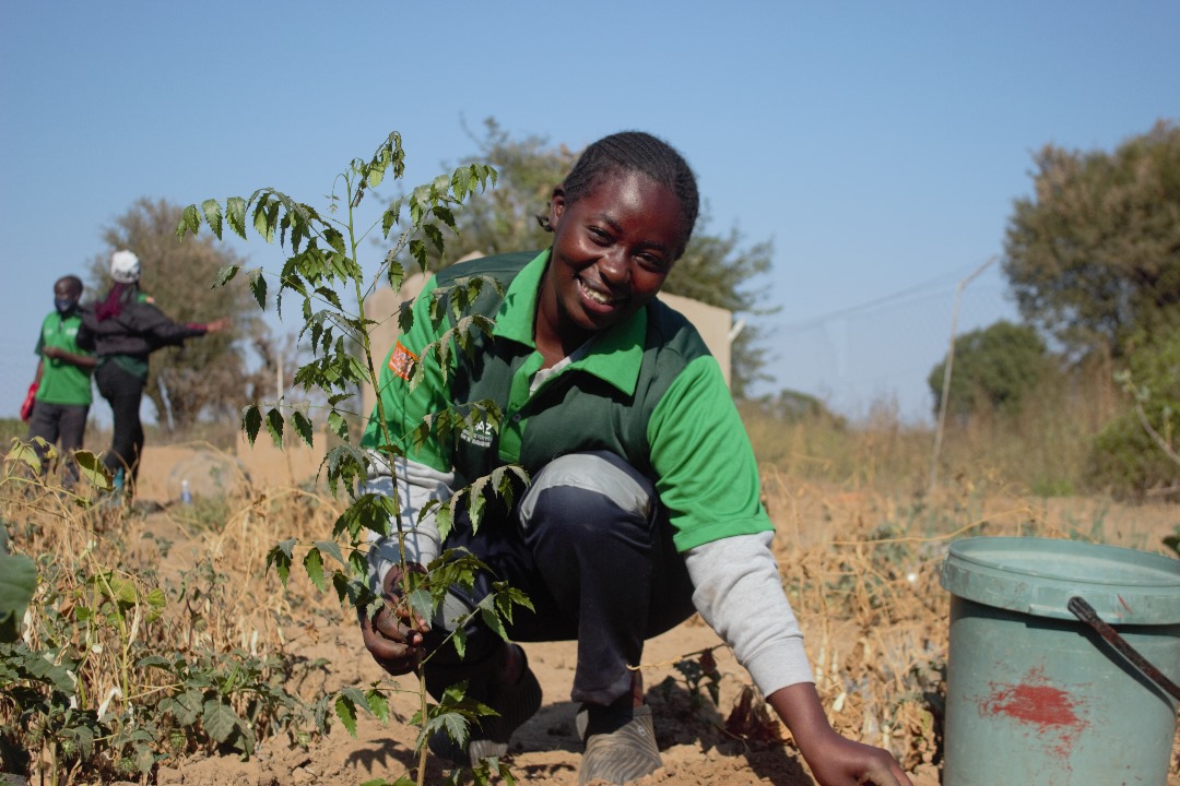 Home A lady planting trees