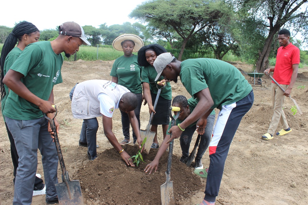 A picture of RCCA team planting a tree
