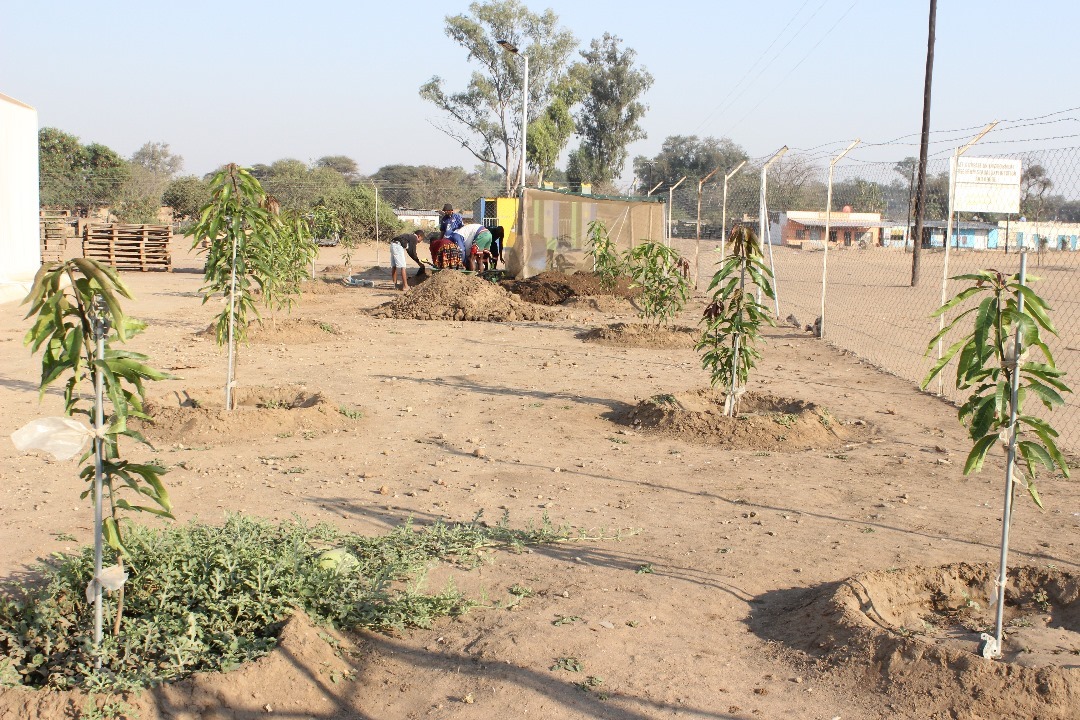 nursery 3