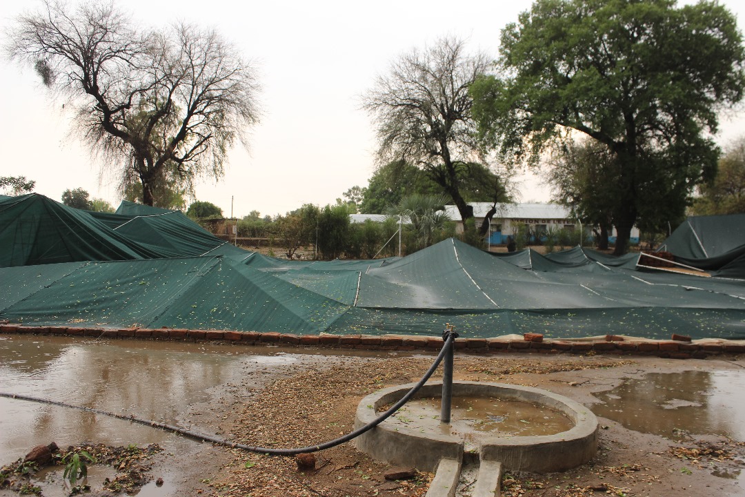 The picture of the nursery damaged